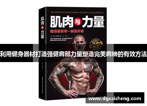 利用健身器材打造强健肩部力量塑造完美肩膀的有效方法