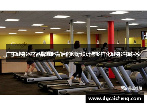 广东健身器材品牌崛起背后的创新设计与多样化健身选择探索