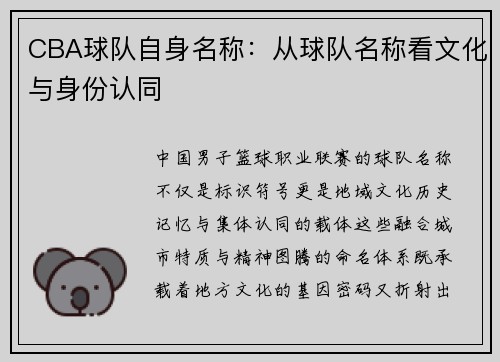 CBA球队自身名称：从球队名称看文化与身份认同